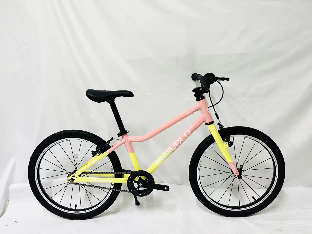 Minivelo 20