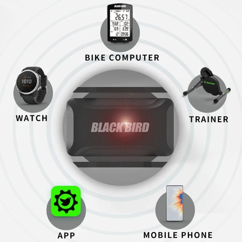 BlackBird Speed Sensor