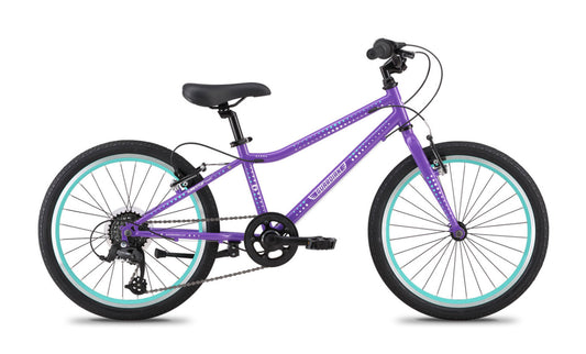 Guardian 20 inch 6 Speed