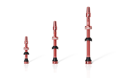 Ridenow Tubeless Valve