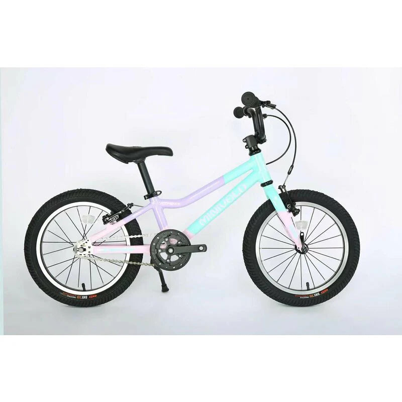 Minivelo 20